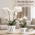 Thriving Thicket Set of 2 White Beige Vintage Owl and Leaves 4.5 + 6 Inch Orchid Pots with Holes, Premium Stoneware Ceramic Orchid Planters for Repotting with Drainage Holes