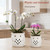 Thriving Thicket Set of 2 White Beige Vintage Owl and Leaves 4.5 + 6 Inch Orchid Pots with Holes, Premium Stoneware Ceramic Orchid Planters for Repotting with Drainage Holes