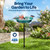VIVOHOME Oval Bird Bath with Solar Fountain and Metal Ground Stake, Green