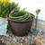 The HC Companies Woven Garden Hose Holder - Lightweight Plastic Decorative Water Hose Holder w/100-Foot Capacity - Garden Hose Pots for Outside (18”, Chocolate, Pack of 1)