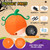 Wondiair 5FT Halloween Inflatables Pumpkin Outdoor Decorations Yard Decor