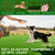 KILCLER Artificial Grass Indoor Outdoor Turf Rug,5Ft x 8Ft Soft and Durable High Density Realistic Fake Grass Carpe,Pet-Friendly, Perfect for Patio,Lawn,Balcony,Weddings Photoshoot Backdrop