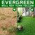KILCLER Artificial Grass Indoor Outdoor Turf Rug,5Ft x 8Ft Soft and Durable High Density Realistic Fake Grass Carpe,Pet-Friendly, Perfect for Patio,Lawn,Balcony,Weddings Photoshoot Backdrop