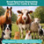 Fenbendazole 10% Oral Suspension Dewormer — Livestock Dewormer (Suitable for Goats, Cattle, Dairy Cows, Sheep, Horses, etc.) Helps Control Roundworms, Hookworms, Whipworms, and Tapeworms 33.8 fl oz