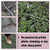 UNCO- Metal Garden Hose with 10 Functions Spray Nozzle, 100 Feet, No Kink