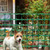DOEWORKS Plastic Safety Fence, 4 ft x 100 ft Barrier Netting, Green