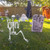 Lodou 5.4Ft Posable Life Size Human Skeleton for Halloween Decoration