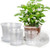 RAOOKIF 10/8/6/5 Inch Clear Nursery Pots with Drainage Hole and Saucers, 12 Pack Large Nursery Pots for Plants for Indoor Outdoor, Plastic Clear Plant Pots for Flowers, Succulents, Vegetables
