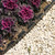 1.5 Inch x 100FT Garden Edging Border,Landscaping with 120pcs Spikes