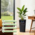 Acurax 24 Inch Tall Plastic Planters (Set of 2) with Drainage Holes, Black
