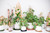 Treleaf Zella Grande Starter Kit – Wooden Extendable Plant Trellis for Indoor Climbing Houseplants – Modular Plant Support with 2 Bases + 2 Extensions - Moss Pole Alternative