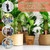 SiliFine 6 Sets Terracotta Watering Spikes,Emerald Green and Terracotta