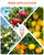 Buyplus 26ft High Reach Fruit Picker with Basket Telescoping, 5-20 Foot Heavy Duty Sturdy Aluminium Telescoping Extension Pole, Easy to Attach Twist-On Metal Basket for Picking Mango Avocado Lemon