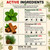 Pesova Mouse Repellent Pouches, USA-Made Rodent & Rat Repellent, 12 Pouches