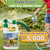 Trifecta Ready-to-Use Flea and Tick Yard Spray | 32 oz