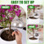 4 Pack 26 oz Extra Large Plant Self Watering Globes Top Fill