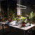 Grow Light for Indoor Plant, 6000K Full Spectrum Plant Lamp