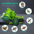 Mouse Repellent, 24 Pack Peppermint Oil for Mice, Rats, Squirrel, Pest Control Indoor & Outdoor Use, Safe for Kitchens, Gardens, RVs, and Family Areas (Green)