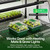 VIVOSUN 6-Pack Seed Starter Trays & 10"x20.75" Seedling Heat Mat