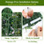 28Pcs Artificial Grass Wall Panels 10" x 10" Faux Boxwood Green Wall UV Resistant Privacy Screen 19.44 Sq Ft with Full Installation Kit for Indoor Outdoor Garden Fence Party Decor