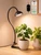 GLOWRIUM Smart Grow Light for Indoor Plants, Full Spectrum Plant Grow Light