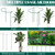 6-Pack 38.7” Plant Support Stakes, Steel Plant Cage & Peony Tomato Hydrangea Cage, Garden Stakes for Outdoor Plants, Heavy-Duty Plant Stakes, 16.7” Support + 22” Extension Tubes