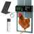 Solar Automatic Chicken Coop Door Programmable Remote 6 Modes Light Blue