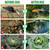 Alphatool 13 x 17 Ft Pond Netting for Koi Ponds