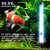 55W Pond UV Light for 500-5000 Gallon, Aquarium UV Light, UV Water Clarifier for Pond, Cold Plunge, Koi Pond, Aquarium, Swimming Pool and Fish Tank for Algae Control