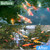 55W Pond UV Light for 500-5000 Gallon, Aquarium UV Light, UV Water Clarifier for Pond, Cold Plunge, Koi Pond, Aquarium, Swimming Pool and Fish Tank for Algae Control