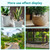 Rahato 20 lbs Rocks for Outdoor Landscaping, 2-3" Decorative Planter Rocks