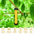 Qualirey 12 Pcs Sticky Fly Trap Stick with Hook, Stylish-3, Yellow
