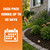 EVSPWI Cat Repellent Outdoor/Indoor, Cat Deterrent Outdoor, Keep Cats Away, Cat Repellent for Yard, Outdoor Cat Repellent, Cat Deterrent Indoor, Safe Around People, Pets & Plants- 16 Packs