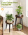 AZADESJET Plant Stand Indoor 2 Pack, Mid Century Wood Indoor Plant Stands, Tall Plant Holder for Flower Pot, Modern Plant Table Round Side End Table With Raised Design, Walnut, 11.7"x18.8" & 11.7"x13"