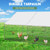 VitalCozy 2 Pcs Chicken Run Coop Cover Tarp 11.5 X 6.6 Ft White