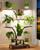 BEWAERIL 7 Tiered Plant Stand Indoor with 3 Grow Lights, 59" Tall Corner Plant Shelf for Multiple Plants, W-Shaped Metal Wood Plant Rack for Living Room, Bedroom, Office, Home Decor, Rustic Brown