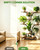 BEWAERIL 7 Tiered Plant Stand Indoor with 3 Grow Lights, 59" Tall Corner Plant Shelf for Multiple Plants, W-Shaped Metal Wood Plant Rack for Living Room, Bedroom, Office, Home Decor, Rustic Brown