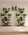 BEWAERIL 7 Tiered Plant Stand Indoor with 3 Grow Lights, 59" Tall Corner Plant Shelf for Multiple Plants, W-Shaped Metal Wood Plant Rack for Living Room, Bedroom, Office, Home Decor, Rustic Brown