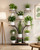 BEWAERIL 7 Tiered Plant Stand Indoor with 3 Grow Lights, 59" Tall Corner Plant Shelf for Multiple Plants, W-Shaped Metal Wood Plant Rack for Living Room, Bedroom, Office, Home Decor, Rustic Brown
