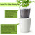 TineDew 6 inch self Watering Pot with Clear Nursery Pot Inside,White,6 Pack