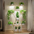 Elbourn Plant Stand Indoor with Grow Light - 8 Tiered 60" Plant Shelf