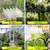 100FT Drip Irrigation Kit, 32 360° Copper Nozzles, Garden Watering System