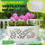 LKSSZS Ceramic Orchid Pot, 10 Inch Orchid Pots with Holes, Premium Thickened Handmade Glazed Pot for Orchidaceae Plants, Indoor Outdoor Decorative Flower Pots for Easy Repotting