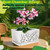 LKSSZS Ceramic Orchid Pot, 10 Inch Orchid Pots with Holes, Premium Thickened Handmade Glazed Pot for Orchidaceae Plants, Indoor Outdoor Decorative Flower Pots for Easy Repotting