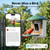 HARYMOR Smart Bird Feeder with Camera Solar Powered, 2K HD Live Video, 10,000+ Bird Species AI Identification, Wild Bird House Feeders for Outdoors, Instant Arrival Alerts, Ideal Gift for Bird Lovers