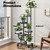 Plant Stand with Wheels, Black 6 Tier Metal Plant Shelf for Indoor Outdoor