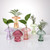 Mushroom Glass Propagation Terrarium Vases for Plants Set Colored of 6