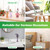 Mushroom Glass Propagation Terrarium Vases for Plants Set Colored of 6