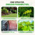 Humboldts Secret Garden Hose End Sprayer, Multipurpose, 32 Ounce, 2-Pack