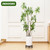 bozopion 3 Pack 10.2 Inch Metal Plant Stands Outdoor Indoor Pot Riser,Black